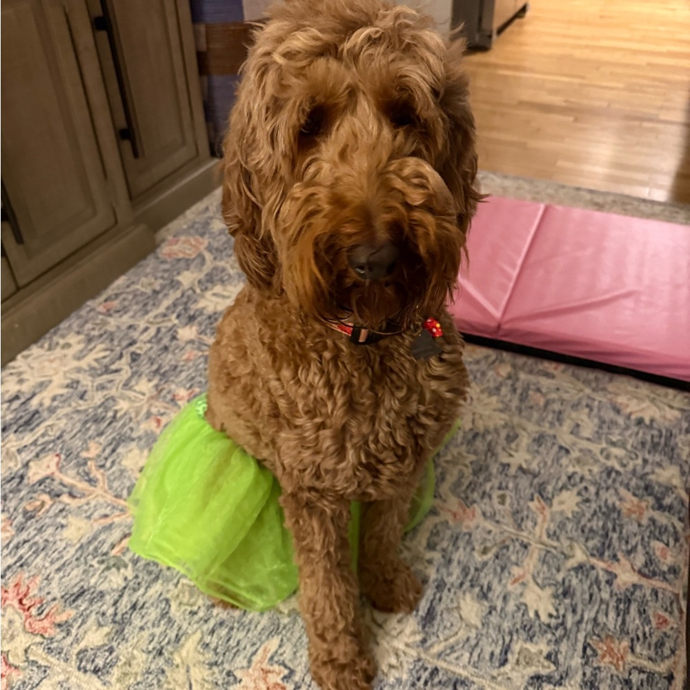 Meet your Posher, Bethany